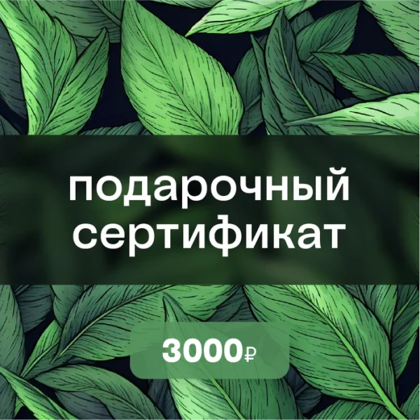 Подарочный сертификат на 3000 ₽