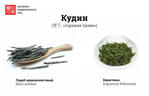 Кудин: два в одном 1 Кудин